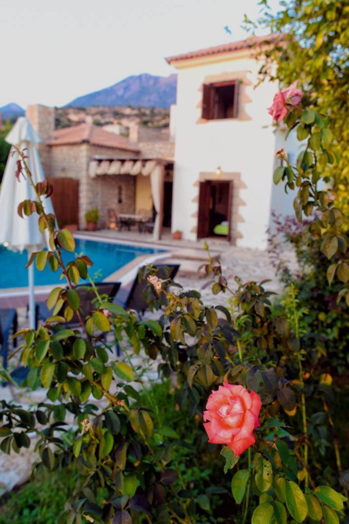 Olympia Villas Stoúpa Dış mekan fotoğraf